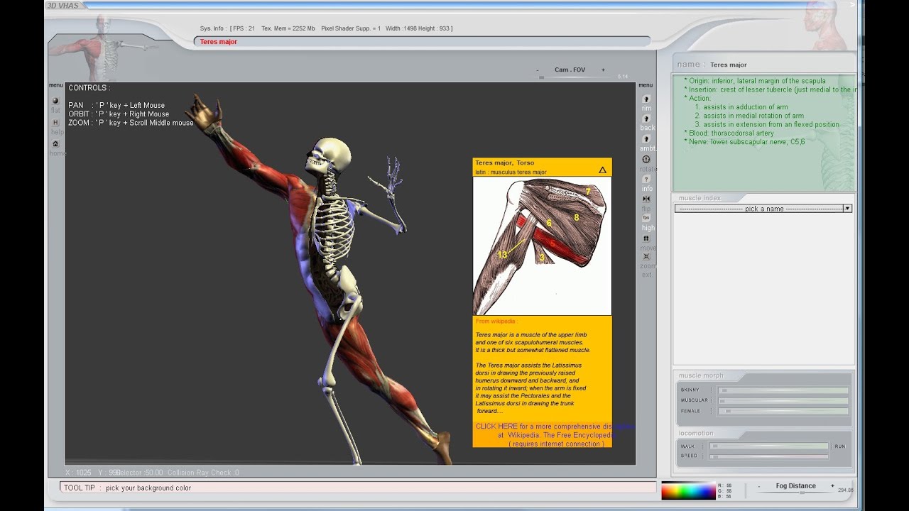 Best anatomy software